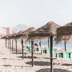 South Nature , Málaga España